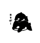 ▶︎動く✨ぷにもっちシャチスタンプ（個別スタンプ：3）