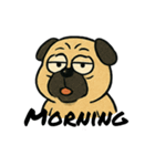 英語喋るよアニマルズ！！（個別スタンプ：1）