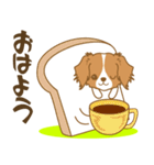わんこびより(コーイケルフォンディエ)①（個別スタンプ：1）