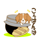 わんこびより(コーイケルフォンディエ)①（個別スタンプ：4）