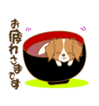 わんこびより(コーイケルフォンディエ)①（個別スタンプ：5）