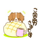わんこびより(コーイケルフォンディエ)①（個別スタンプ：8）