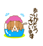 わんこびより(コーイケルフォンディエ)①（個別スタンプ：10）