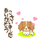わんこびより(コーイケルフォンディエ)①（個別スタンプ：11）