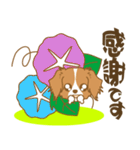 わんこびより(コーイケルフォンディエ)①（個別スタンプ：12）