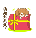 わんこびより(コーイケルフォンディエ)①（個別スタンプ：13）