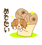 わんこびより(コーイケルフォンディエ)①（個別スタンプ：15）