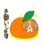 わんこびより(コーイケルフォンディエ)①（個別スタンプ：18）