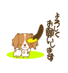 わんこびより(コーイケルフォンディエ)①（個別スタンプ：19）