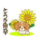 わんこびより(コーイケルフォンディエ)①（個別スタンプ：20）