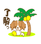 わんこびより(コーイケルフォンディエ)①（個別スタンプ：23）