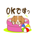 わんこびより(コーイケルフォンディエ)①（個別スタンプ：24）