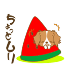 わんこびより(コーイケルフォンディエ)①（個別スタンプ：28）