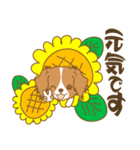 わんこびより(コーイケルフォンディエ)①（個別スタンプ：29）
