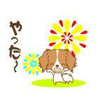 わんこびより(コーイケルフォンディエ)①（個別スタンプ：30）