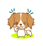 わんこびより(コーイケルフォンディエ)①（個別スタンプ：34）