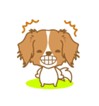 わんこびより(コーイケルフォンディエ)①（個別スタンプ：36）
