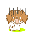 わんこびより(コーイケルフォンディエ)①（個別スタンプ：37）