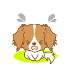 わんこびより(コーイケルフォンディエ)①（個別スタンプ：40）