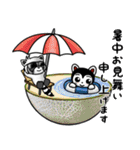 こまたんのほっこり夏の日常スタンプ（個別スタンプ：3）