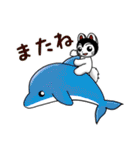 こまたんのほっこり夏の日常スタンプ（個別スタンプ：40）