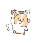 モルモットの日常色々（個別スタンプ：3）