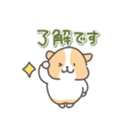 モルモットの日常色々（個別スタンプ：4）