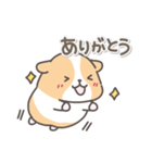 モルモットの日常色々（個別スタンプ：5）