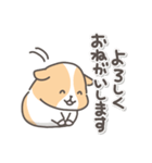 モルモットの日常色々（個別スタンプ：8）