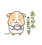 モルモットの日常色々（個別スタンプ：10）