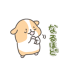 モルモットの日常色々（個別スタンプ：12）
