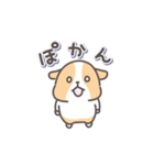 モルモットの日常色々（個別スタンプ：15）
