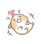 モルモットの日常色々（個別スタンプ：17）