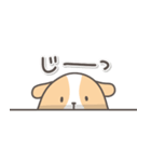 モルモットの日常色々（個別スタンプ：18）