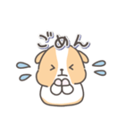 モルモットの日常色々（個別スタンプ：19）