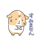 モルモットの日常色々（個別スタンプ：20）