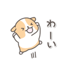 モルモットの日常色々（個別スタンプ：24）