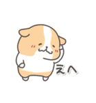 モルモットの日常色々（個別スタンプ：31）