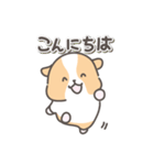 モルモットの日常色々（個別スタンプ：36）