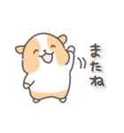 モルモットの日常色々（個別スタンプ：40）