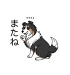 名前入りシェルティトライカラー（個別スタンプ：8）