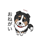 名前入りシェルティトライカラー（個別スタンプ：10）