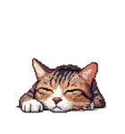 無言で伝えるキジトラさん（個別スタンプ：7）