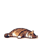 無言で伝えるキジトラさん（個別スタンプ：31）