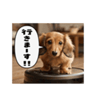 動く！デカ文字ダックスフンド（個別スタンプ：4）