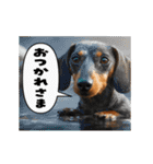 動く！デカ文字ダックスフンド（個別スタンプ：8）