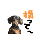 動く！デカ文字ダックスフンド（個別スタンプ：17）