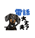 動く！デカ文字ダックスフンド（個別スタンプ：23）