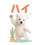 癒し白くまの気軽な敬語スタンプ【BIG】（個別スタンプ：4）