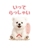 癒し白くまの気軽な敬語スタンプ【BIG】（個別スタンプ：22）